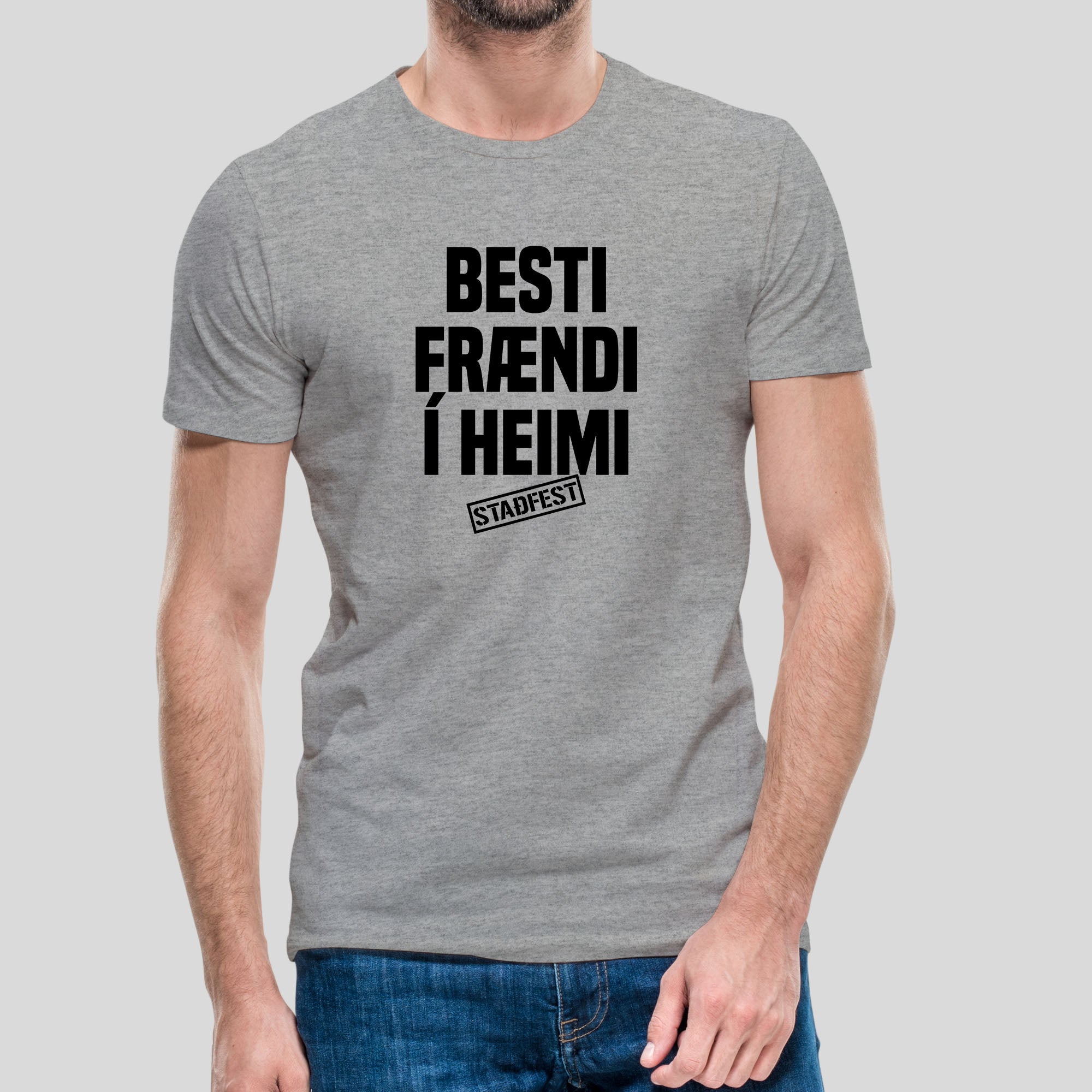 BESTI FRÆNDI Í HEIMI - Grár bolur