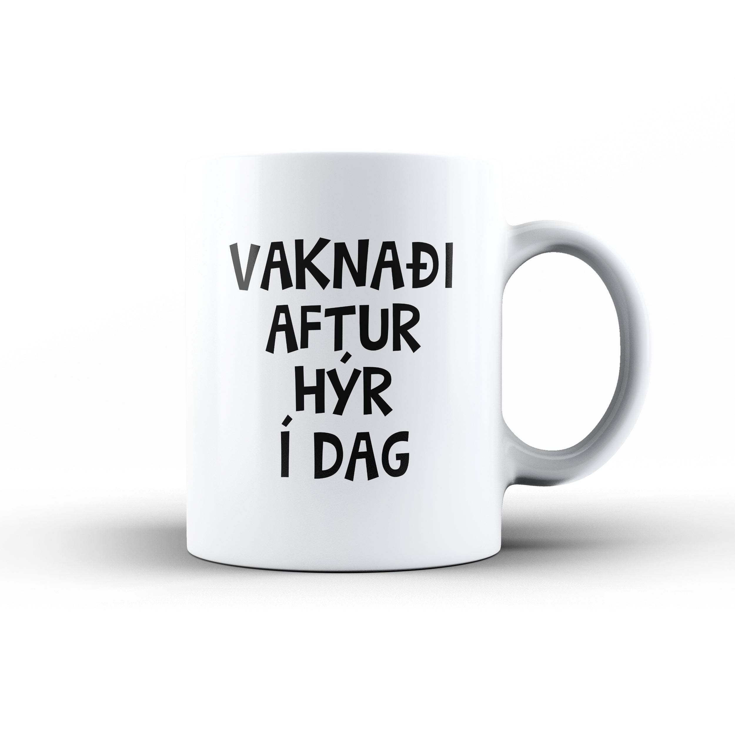 Vaknaði aftur Hýr - Bolli