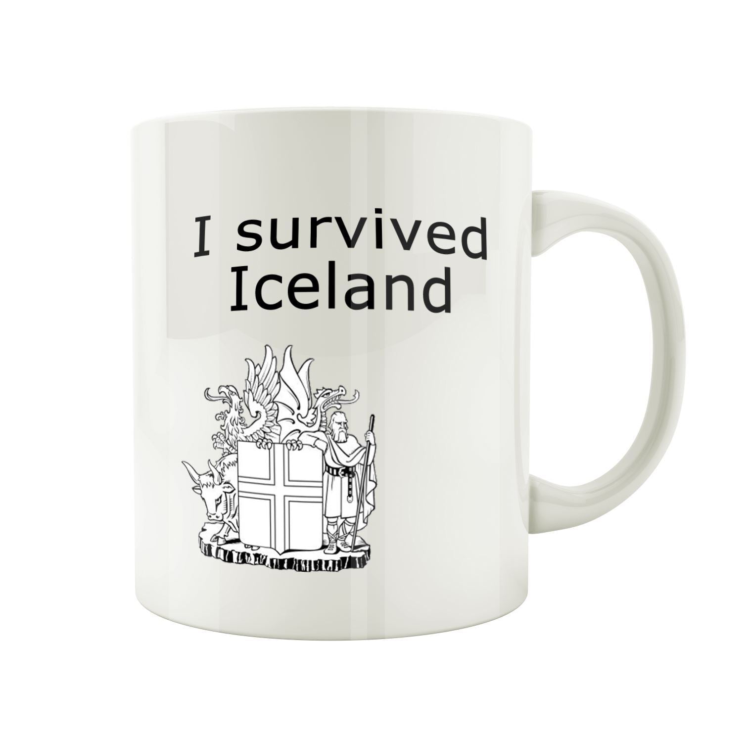 I survived Iceland